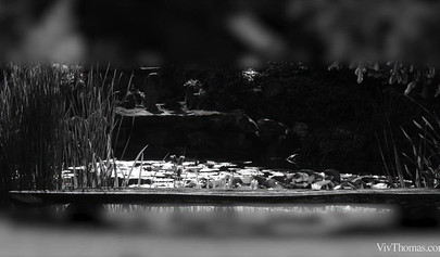 Two chicks make love in some girl on girl action in public and they love it