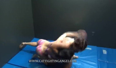 Sweet girls in bikini take part in a great catfight