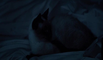 The Duke of Burgundy (2014) Full Movie with lesbian scenes