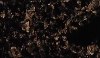 The Duke of Burgundy (2014) Full Movie with lesbian scenes