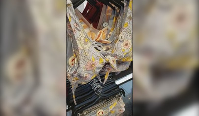 Las novias lesbianas Lana Rhoades y Riley Reid se divierten en el probador.