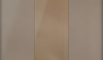 Las novias lesbianas Lana Rhoades y Riley Reid se divierten en el probador.