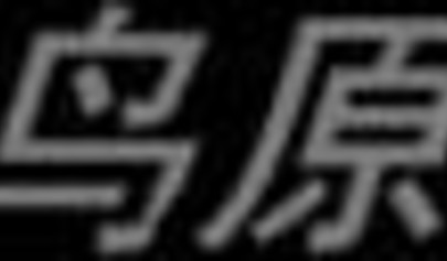 Bondage porn video with tied up Asian girls on the floor